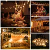 Dekorationer Vintage G40 Mini Plastic LED -glödlampa E12 110V 220V 1W Dimble Shatterproof Waterproof Wedding Garland Garden Decoration LED Light