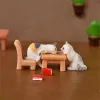 장식용 귀여운 고양이 의자 장식 아이 어린이 아이 아기 정원 고양이 새끼 고양이 장식 선물 방 장식 장난감 미니어처 인형 홈 장식