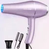 Sèche-cheveux 1200W Sèche-cheveux anionique avec soins constants en soins de température non invasifs légers et portables adaptés aux voyages familiaux Q240429