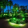 Decoraties 1/2pc Solar Outdoor Light LED Landschap Decoratie Countyard Spotlight Waterdichte tuin Wall Street Tree Solar Lamp Green Light