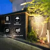 Décorations Tsunrise Solar LED extérieur Lumière IP65 Decoration de jardin imperméable