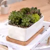 Planters POTS 1 Uppsättning av minsta storlek Rektangulär vit keramisk adsorption Växtpotten Tablettblomma Zakka Hemdekoration (1 POT+1 TRAY) Q240429