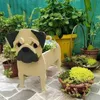Jardinières pots diy plantes animales mignonnes fleurison jardin de maison décoration de chien Q240429