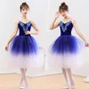 Wear 2024 Ballet Dance Tutu Leotard Girls Costume Dancewear Ribbon Long Tulle Jupe Ballerina Fairy Party Costumes