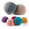 Mütze/Skull Caps Winter warme Beanies lässige Kurzfaden Hip Hop Hut Erwachsene Männer weibliche Wollgestrickte Schädel Cap Elastic Unisex Melonkappe Frauen Männlich D240429