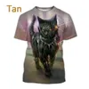 T-shirts Summer Fashion Funny Street Style Pullover mignon chat Cat T-shirt Leisure Creative 3D Printing Animal T-shirt Unisexe Round Neck T-shirtl2404