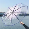 Umbrellas Transparent Clear Umbrella 3 Fold Umbrella Pink Green Blue And Purple Flowers Transparent And Sunny Umbrellas