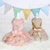 Hundebekleidung Champagnerkleider für kleine Hunde Mädchen mit Bogendekor Luxury Katze Hochzeitskleid Mehrschicht gestickte Blume