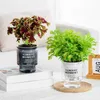 Planters potten transparante bloempotten Zelf Waterend plastic indoor bonsai tuinen moderne decoratieve potbenodigdheden Q2404291