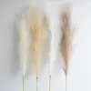 100cm Yapay Pampas Boho Dekoratif Çiçekler Ana Parti Masa Çiçek Dekorasyonu Dolap Deco Deco Fluffy Reed Grass 240422