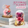 Valentines Day Gift for Girlfriend Eternal Preserved Rose Flower Gift Box Teddy Bear Eternal Flower with Lights Gift for Women 240418