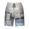 Men's Shorts Regattas At Argenteuil By Claude Monet Print Swim Trunks Quick Dry Swimwear Beach Board French Art Boardshorts