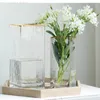 Vasen Vase Dekoration Wohnzimmer Blume Arrangement Glasflasche Nordisch transparent einfache leichte Luxuswasser