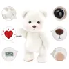 Daigou Offizieller Teddy Tale Bär Plüschspielzeug 20 cm handgefertigt Super hohe Qualität Teddybears Joint Move Bären Plüsch Geburtstag 240416