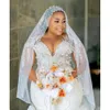 بالإضافة إلى Aso Ebi Oct ArgiC Size Ivory Mermaid Weddered Heeded Sequed Lace Bridals Dress Zj033