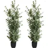 Fleurs décoratives 2 packs eucalyptus artificiels hauts grandes grandes plantes de soie pour le décor de bureau à domicile plante intérieure