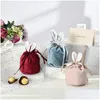 Fête favorise DHS VEET PASSER BUTNY GEULLET EORES COURTES PANKER LABBIT DSTRING SAC SOFT P SACS DE Rangement P Drop Livraison Home Garden Fe Dhiom