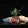 Piantatrici vaso di sabbia viola orchidea fiore tavolo da casa tavolo top rotonde di carne zuppa bonsai ceramica cinese decorativa 149 q2404291