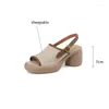 Dress Shoes Sheepskin Summer Sandalen Open Toe Hollow Out High Heel For Women Platform Chunky Fish Factured
