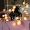 Dekorationer Maskros LED Fairy Lights Battery Light Garden Terrace Special Party Chile Decor String Lights For Home Inomhusbelysning