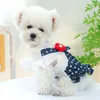 Vêtements pour chiens automne aux vêtements pour animaux de compagnie de printemps robe de chat costume de princesse