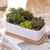 Planters POTS 1 Uppsättning av minsta storlek Rektangulär vit keramisk adsorption Växtpotten Tablettblomma Zakka Hemdekoration (1 POT+1 TRAY) Q240429