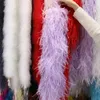 Ostrich Feather Boa Vintage 6 8 10 15 20 Ply 150 cm Länge natürlicher Strauß Federschaltrimming für Kostümkleidung Dekor 240417