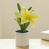 Decorative Flowers Artificial Interior Decoration Bright S Plastic Potted Plant Exquisite Workmanship Product Name Production Batches