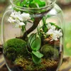Carpets Lifelike Artificial Plants Fairy Garden Mini House Decoration Miniature Ornament