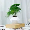 Planters Pots HomeProdukt DisplaySuspended Air Bonsai Pot Rotating PlantsMagnetic Suspension Flower Decoration Q240429