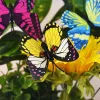 Decorazioni mazzo di farfalle giardino fioriera da giardino colorato statue di farfalle stravaganti decorazioni decorazioni da esterno decorazione