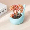 Piantatrici vasi di fiore di balena simpatico pentola succosa ceramica pianta decorazione casa desktop bonsai giardino q240429