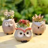 Cute Owl Ceramic Flower Pot Garden Escritório Decoração Suculenta Mini Owl Flowerpot Flower Animal Flowerpot Cactus Plants Plants 240424