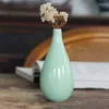 Vaser keramisk liten vas enkel blomma ware blommor ornament hantverk gröna bönor skönhet flaska