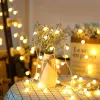 Decorations LED Light String Fairy Bubble Ball Light Festive Light Garland EU/US Plug Indoor Christmas Wedding Outdoor Garden Decoration