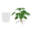 Decorative Flowers Fake Plant For Indoor Or Outdoor Those Busy Lifestyle Faux And Plants Artificial