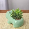 Decorações Creative Cerâmica Mini Flowerpot Planter suculento