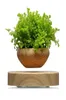 Magnetisk leviterande krukväxt växt luft bonsai potten levitation växter planter blomkrukor saftig växt för hemmakontor dekor y200727666279