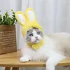 Odzież dla psów zabawne dla kota hat d kostium urodzinowy akcesoria dla zwierząt domowych multocolor Wysoka jakość zużycia