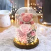 Valentines Day Gift for Girlfriend Eternal Preserved Rose Flower Gift Box Teddy Bear Eternal Flower with Lights Gift for Women 240418