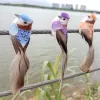 Décorations 6pcs Birds artificiels mignons faux mousse pour animaux simulation de plumes modéliques de plumes