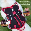 Собачья одежда поводки жилет Nylon rap Puppy Outdoor Travel Hourtain Levallable Pet Senter