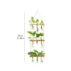 Dekorationen Holzständer Mini -Testrohrblüte Vase Glass -Planter für hydroponische Pflanzen schneiden Hausgarten Bürodekoration Pflanze