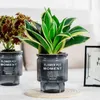 Planters potten transparante bloempotten Zelf Waterend plastic indoor bonsai tuinen moderne decoratieve potbenodigdheden Q240429
