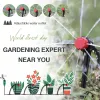 Kits 25/50m Automatische Tuin Irrigatie Watering Systeem Groenten Bloemen Druppel Kit Verstelbaar mondstuk 1/4 'PVC Slang koppelingsadapter