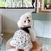 Hondenkleding Elegante boog Pet Princess Jurk Zomer Dunne rok Cool Ademhalter Puppy Bichon Teddy Maltese kleine hondenkleding