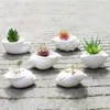Planteurs Pots 6 pièces / set mini blanc petit pot de fleur forme de coque en céramique supporte de plante juteuse cactus de jardin de fée pour usage domestique Q240429