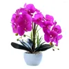 Fleurs décoratives youzi 14 têtes artificielles bonhonsaï papillon orchidée miniature plante en pot pour la salle de bureau de bureau de bureau à la maison