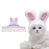 Abbigliamento per cani divertente per cappello da gatto d Costume Birthday Accessori per animali domestici Forniture multicolore di alta qualità regolabile