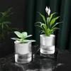 Planters potten luie bloempot automatische waterabsorptie transparant plastic zelfplant kinderkamer tuindecoratie Q240429